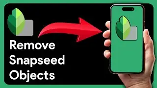 How To Remove Objects From a Photo Using Snapseed (2024)