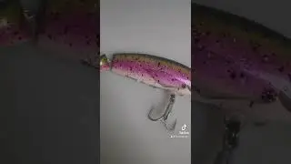 Fishingprofi Queen of Una🤩 #fishingprofi #fishing #wobbler