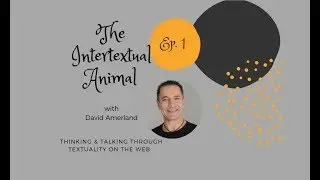 The Intertextual Animal: A Conversation with David Amerland