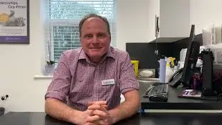 Sean Cleary explains what North Star Vets can offer to vets looking to run their own practice