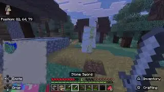 Minecraft Survival