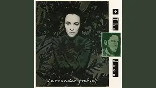Surrender Yourself (Ballroom Mix)
