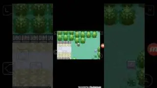 Pokemon Zafiro Ep 5 El p&aacute;jaro salvado y el Sr. Arenque