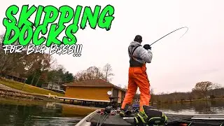 SKIPPING Shallow DOCKS On ULTRA CLEAR Lake!!! || Lake Anna