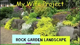 Our ROCK GARDEN Riot of Colors
