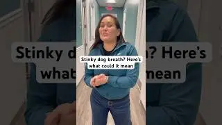 Stinky dog breath? Here&rsquo;s what it could mean🐶 #dog #vetlife #vetmed #animals #dogs #pets #vet