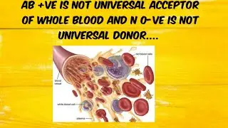 cross matching of whole blood, plasma and Red blood cells