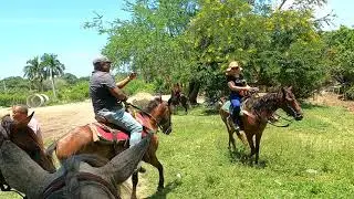 Travel Fun - Horse back riding Domincan Republic July 17, 2021