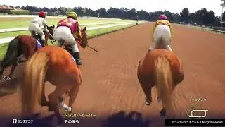 Winning Post 10 2025 GI [415]