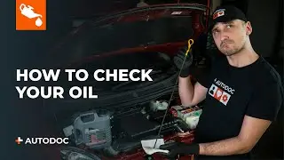 Why Checking Your Oil is Crucial for Engine Performance