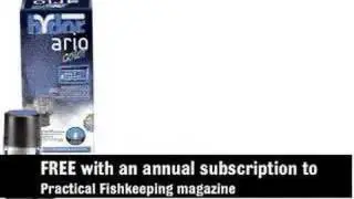 Practical Fishkeeping | Get a FREE Ario Color 2