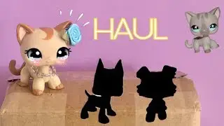 LPS Haul From Thrift Store + eBay // New LPS #23