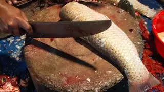🔴 লাইভে ফ্রেশ মাছ কাটা দেখুন &mdash; Watch Fresh Fish Cutting Live! #LiveFishCutting #Fishing