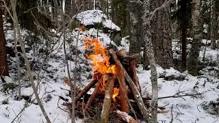 Fireplace Sounds for Deep Sleep | Winter Forest Campfire