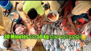 Sunday Fish Market😋 // 30 Minutes ରେ 50 kg ମାଛ କଟା ହେଲା🧐 // Odia Vlog