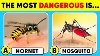 Насколько хорошо вы знаете животных? 🐝🦟✅⚠️ Викторина на общие знания