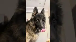 Regan Play Time