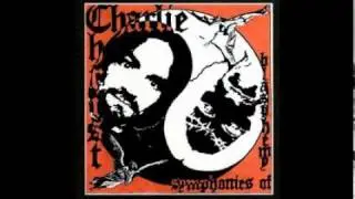 Charlie Christ - Transient Mind State
