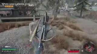Местонахождение гнезда заражения в Мэрион-Форксе из Days Gone