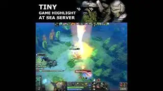 Tiny game sea server highlight