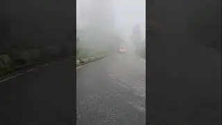 Foggy morning at the hills | Driving through the fog #foggy #foggyroad #hillroad #hillstation