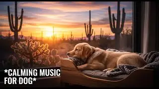 12 hours of Dog Sleep Music : Reduce Anxiety & Promote Relaxation with Gentle Sounds 😴🐕