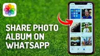 Как поделиться фотоальбомом iPhone в Whatsapp &mdash; полное руководство
