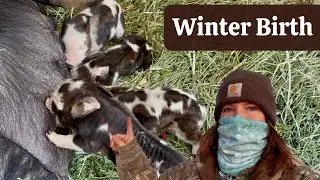 She Picked the Coldest Day of the Year...