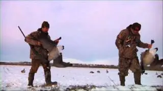 Montana Goose Hunt - The Fowl Life s2e11 Full Episode