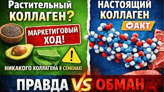 Почему в растениях НЕТ коллагена — простое научное объяснение