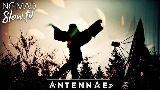 ANTENNAE Moonscapes - 14 Wolf Moon - One Fine Day (official music video)