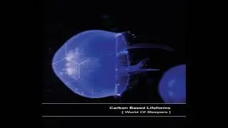 Carbon Based Lifeforms   - World Of Sleepers (Full Album)