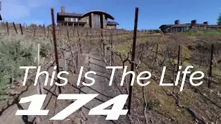 CAVE B WINERY & RESORT WEDDING  (Thomas-Mohn Wedding) | THIS IS THE LIFE 174