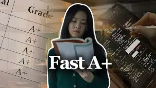 Study Like Pro With These Tips