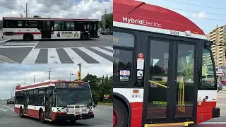 TTC Bus 191