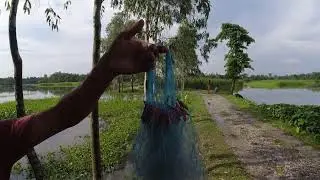 #myvillage  | Fishing in jute field | heavy rainfall Cooch Behar | WB Dinhata