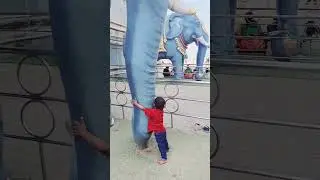 #ElephantHug##