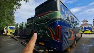 ADA APA INI ? BANYAK BUS ALS KOMPAK PERPAL DI TERMINAL PORIS TANGERANG