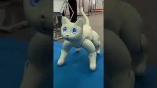 Marscat 🐈  🤖                      The bionic robotic cat!