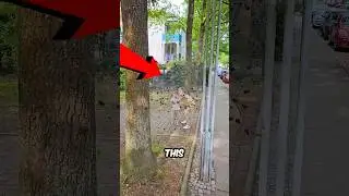 Мама хотела легко заработать денег, но&hellip;💀