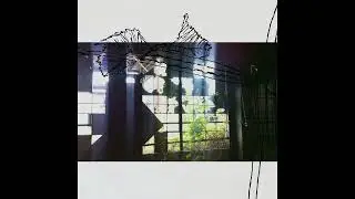 to shreds (audio)