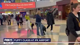 JFK Terminal 4 Hosts 'puppy class' with Guide Dog Foundation.