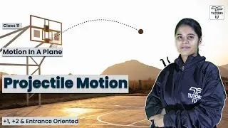 Projectile Motion