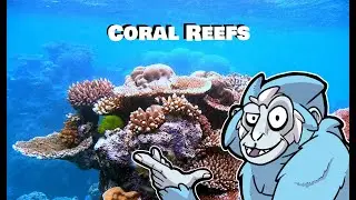 Coral Precludes Young Earth Creationism | Bite-Sized Busts
