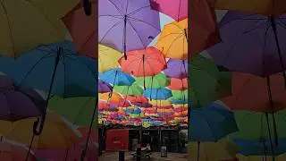 Stackt Market Toronto #shorts #market #toronto