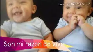 Los Gordos y tatillo