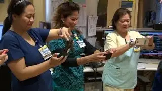 Giant-Size Therapy Dog Helps Brighten Patients' Days