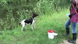 170708 DogSupport jeugd jacht