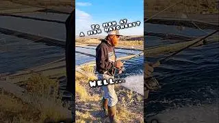 Fishing at a fish hatchery! MONSTER TROUT! 👀 #fishing #troutfishing #steelhead