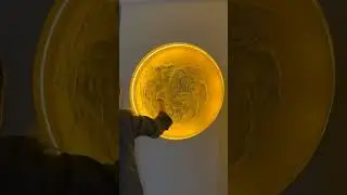 Lunar Artistry: Crafting the Moon with Plaster 🌕🌜🌛